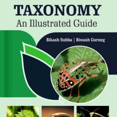 Insect Taxonomy: An Illustrated Guide
