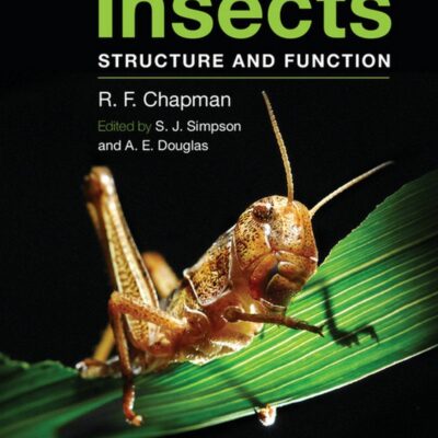 The Insects: Structure And Function