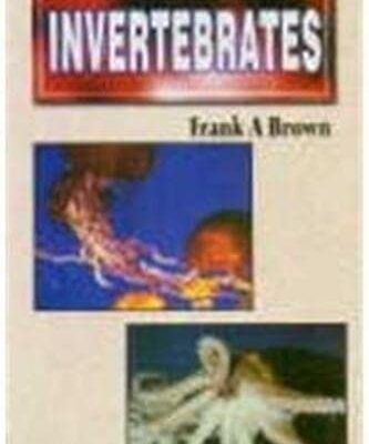 Invertebrates