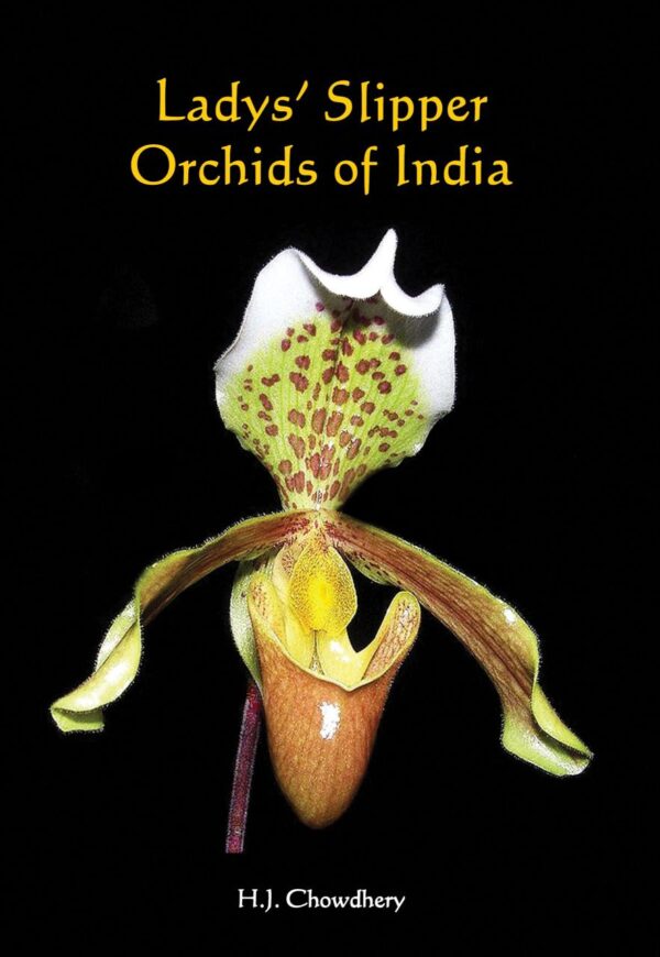 Ladys’ Slipper Orchids of India