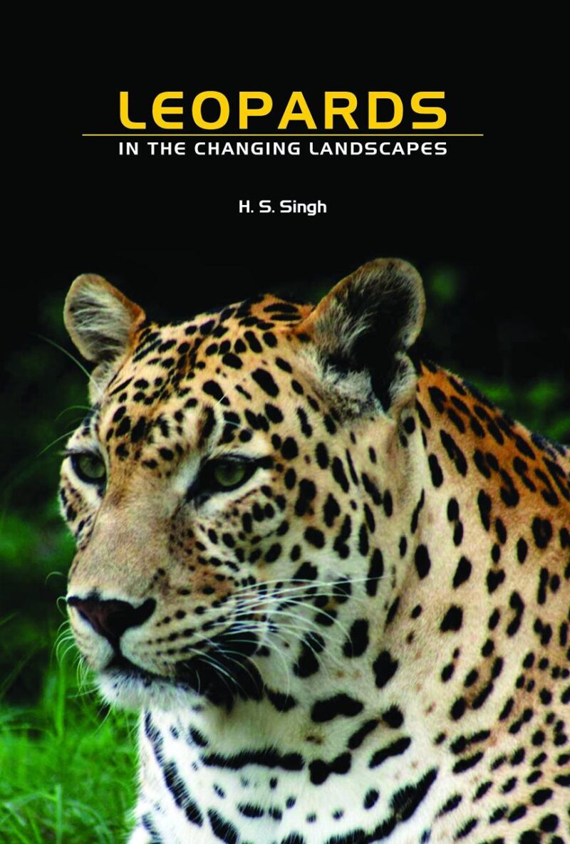 Leopards in the changing Landscape