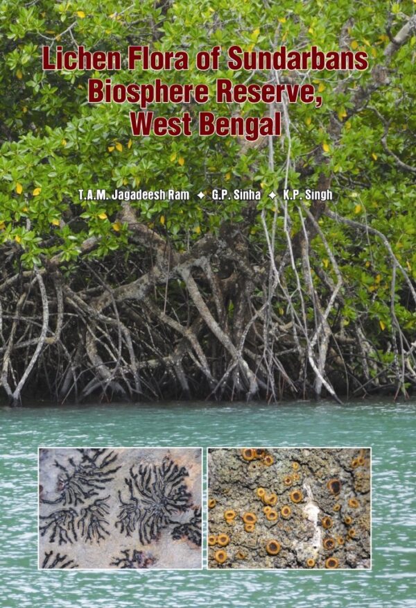 LICHEN FLORA OF SUNDERBANS BIOSPHERE RESERVE W B