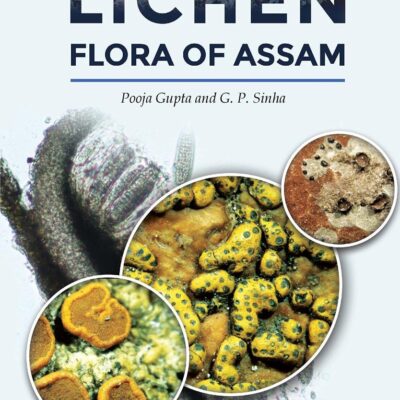 Lichen Flora of Assam