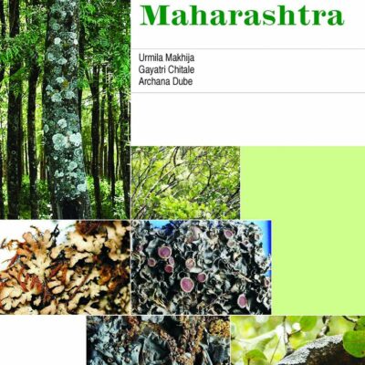 Lichens of Maharashtra