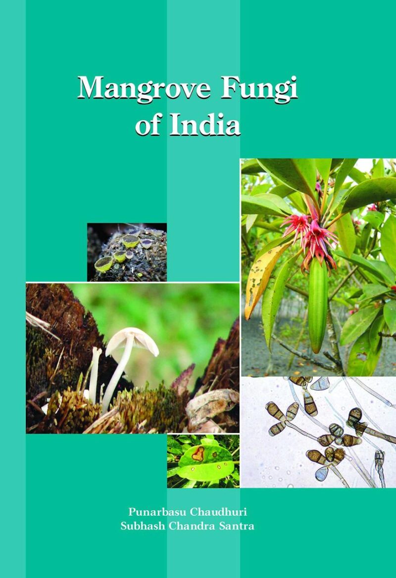 Mangrove Fungi of India