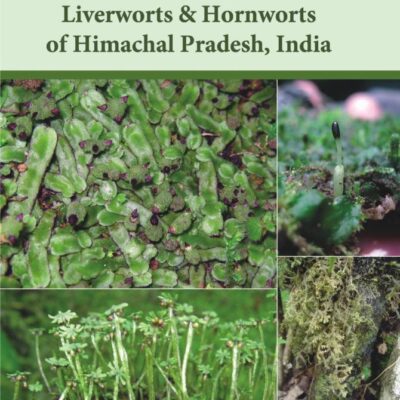 Manual of Liverworts & Hornworts of Himachal Pradesh