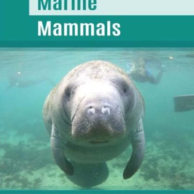 Marine Mammals