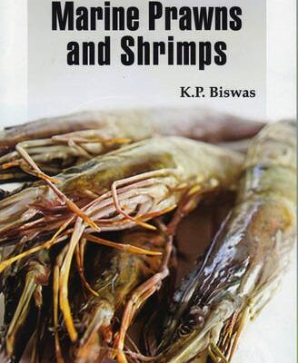 Marine Prawns and Shrimps