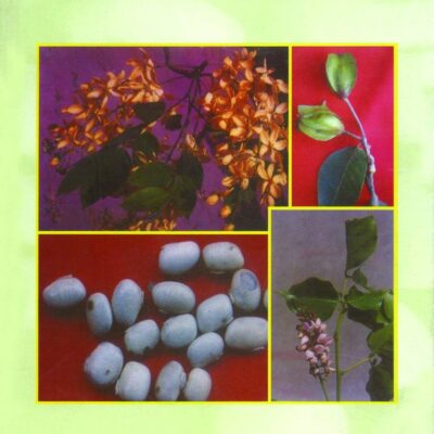 Medicinal plants and raw drugs of India
