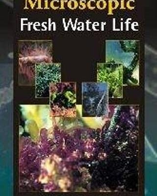 Microscopic Fresh Water Life