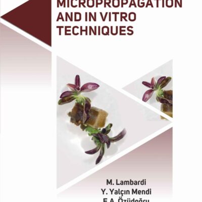 Micropropagation and in Vitro Techniques