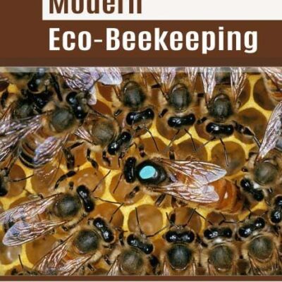Modern Eco-Beekeeping