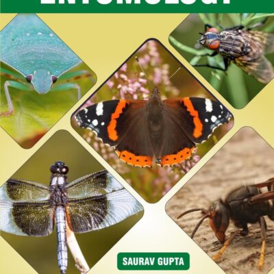 Modern Entomology