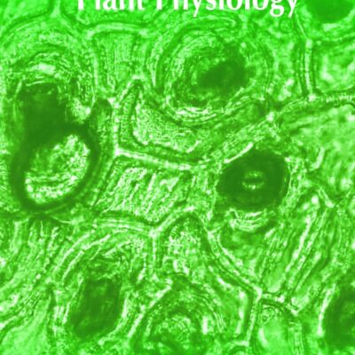 Modern Methods in Plant Physiology