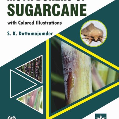 Moth Borers of Sugarcane with Colored IIIustrations