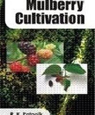 Mulberry Cultivation