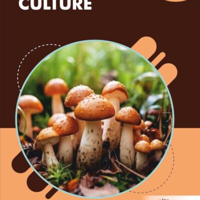 Mushroom Culture