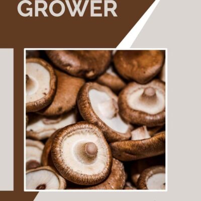 Mushroom Grower