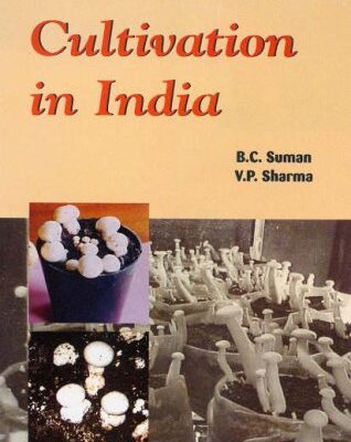 Mushroom Cultivation in India
