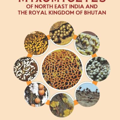 Myxomycetes of North East India and The Royal Kingdom of Bhutan (Tecomella Undulata (Sm.) Seem)