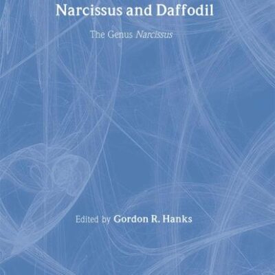 Narcissus and Daffodil