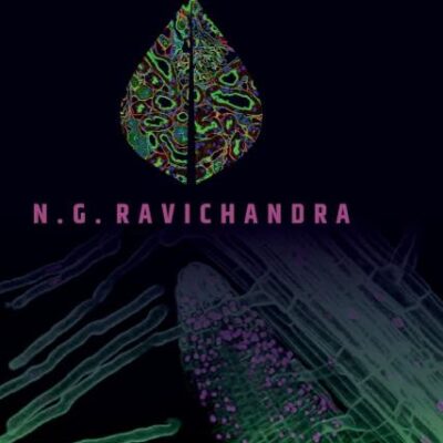 Nanotechnology in Plant Pathology