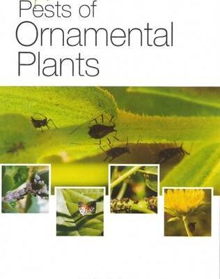 Pests of Ornamental Plants