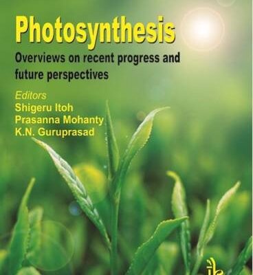 Photosynthesis: Overviews on Recent Progress and Future Perspectives