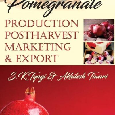 Pomegranate: Production