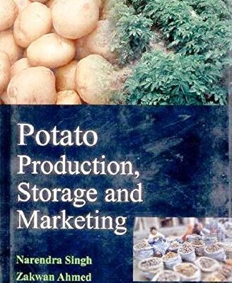 Potato Production
