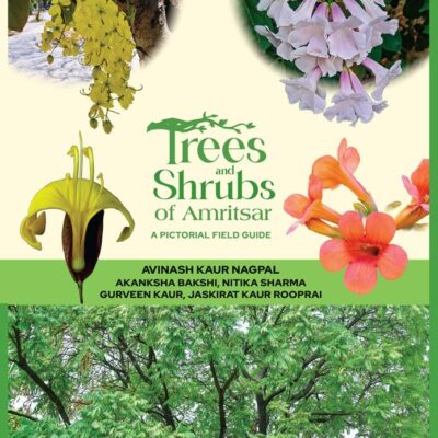 Trees and Shrubs of Amritsar: A Pictorial Field Guide