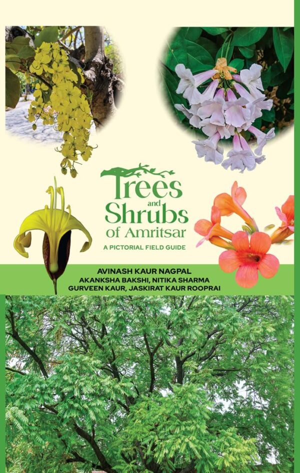 Trees and Shrubs of Amritsar: A Pictorial Field Guide