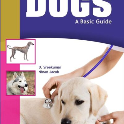 Understanding Dogs A Basic Guide