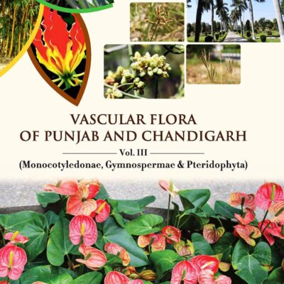 Vascular Flora of Punjab and Chandigarh: Vol. III Monocotyledonae
