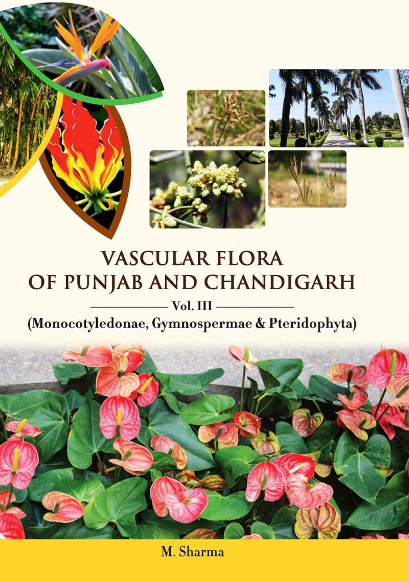 Vascular Flora of Punjab and Chandigarh: Vol. III Monocotyledonae
