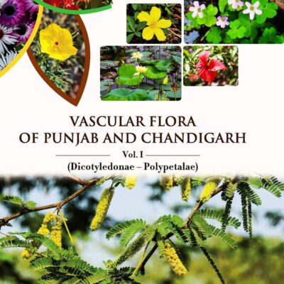 Vascular Flora of Punjab and Chandigarh : Vol. I Dicotyledonae- Polypetalae