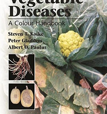 Vegetable Diseases