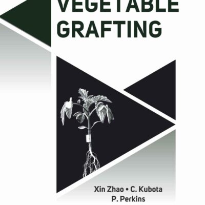 Vegetable Grafting