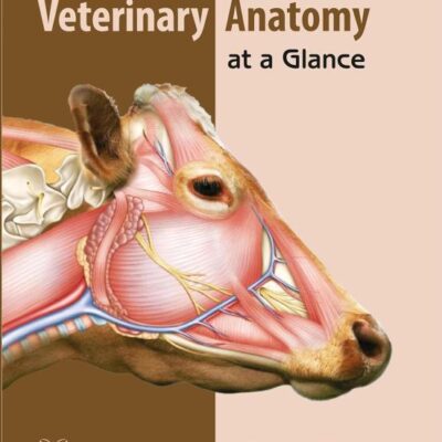 Veterinary Anatomy at a Glance (Hardback)