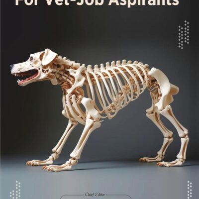Vet View for Vet Job Aspirants