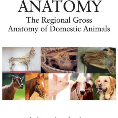 VETERINARY ANATOMY: THE REGIONAL GROSS ANATOMY OF DOMESTIC ANIMALS