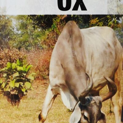 Veterinary Anatomy of the Ox
