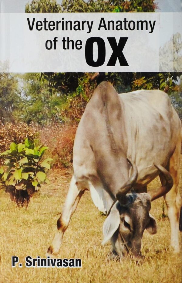 Veterinary Anatomy of the Ox