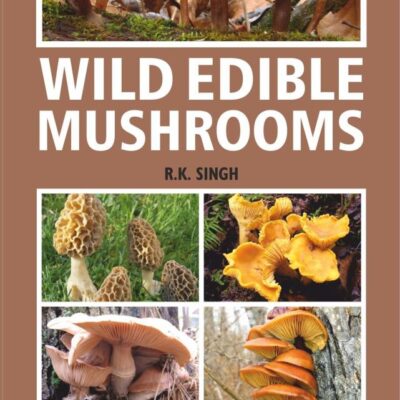 Wild Edible Mushrooms