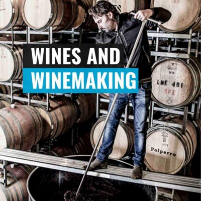 Wines and Winemaking