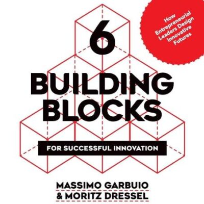 6 Building Blocks: For Sucessful Innovation