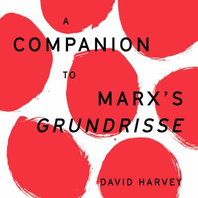 A Companion to Marx's Grundrisse