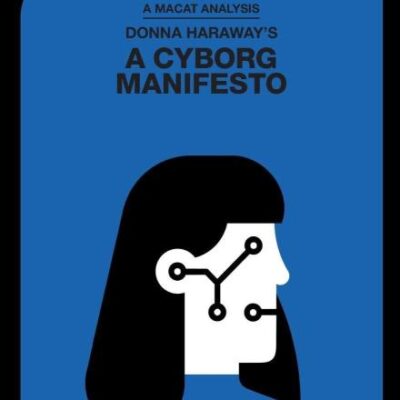 Donna Haraway's a Cyborg Manifesto