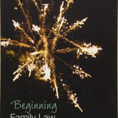 Beginning Family Law (Beginning the Law)