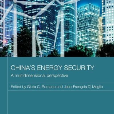 China's Energy Security: A Multidimensional Perspective (Routledge Contemporary China Series)